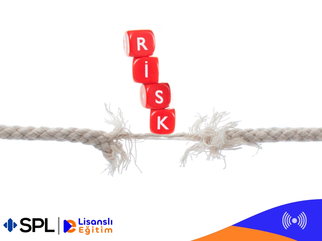 Sermaye Piyasası Kurumlarında Risk Yönetimi