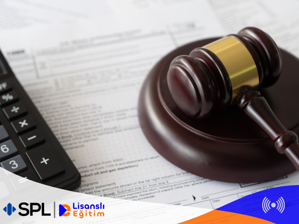 Sermaye Piyasasında Kamuyu Aydınlatma İlkesi Ve Kamuyu Aydınlatma Belgelerinden Doğan Hukuki Sorumluluk