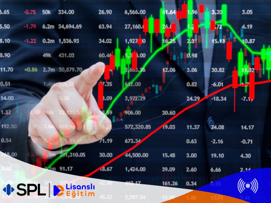 Mali Tabloların Analizi ve Yorumlanması